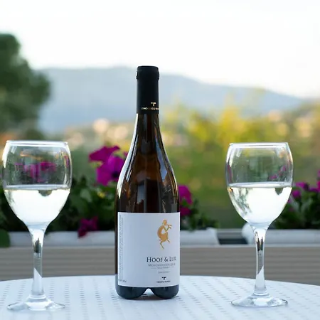 Art Debono Hotel Gouvia