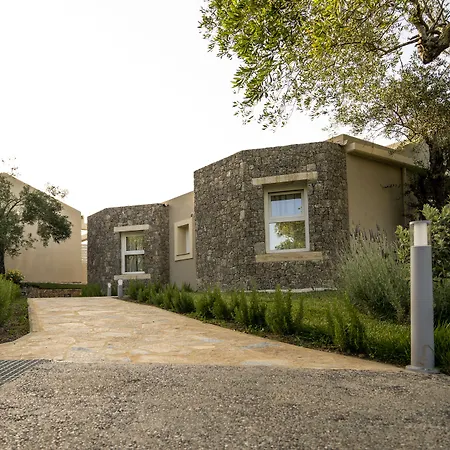Art Debono